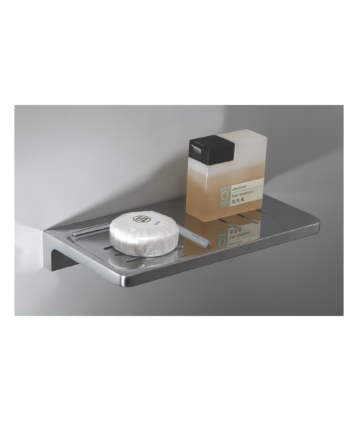DELIGHT SOAP DISH WITH SHELF-1