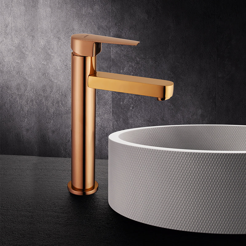 Single Lever Basin Mixer Tall Body with 24" Hose F/F