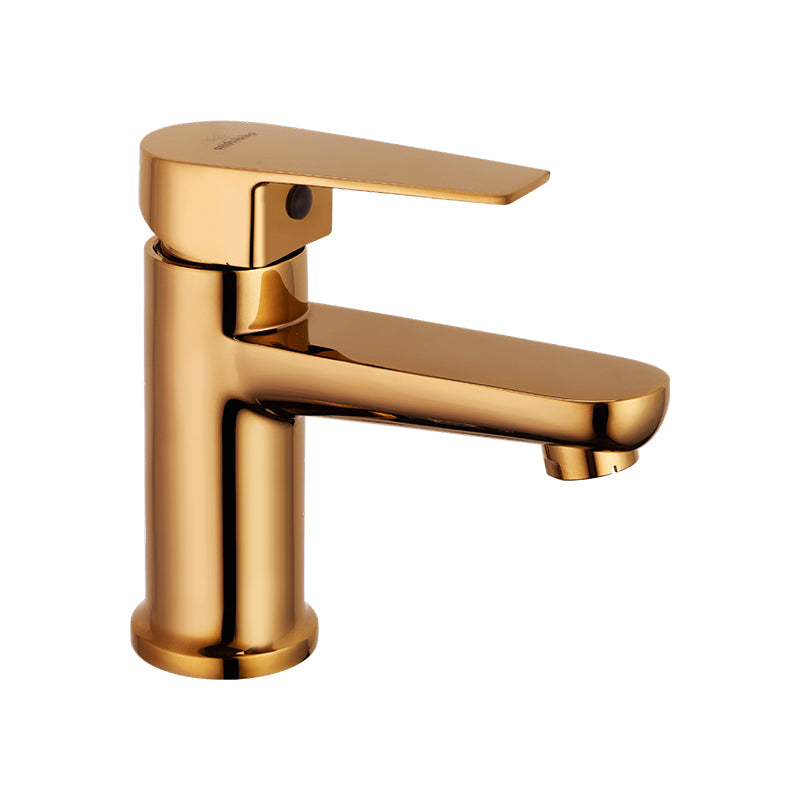 Single Lever Basin Mixer with 24" Hose (F/F)