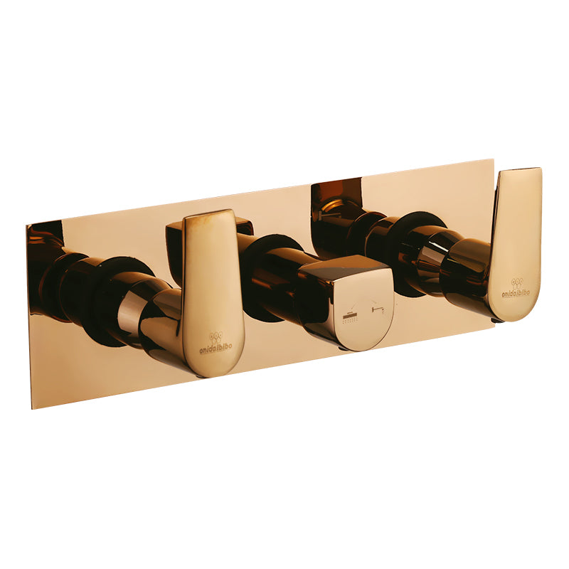Wall Mixer Concealed Plate with Sleeve & Knobs (Suitable for 1050)