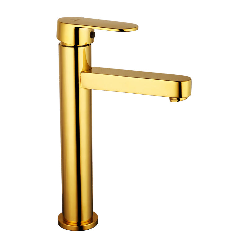 Single Lever Basin Mixer Tall Body with 24" Hose F/F