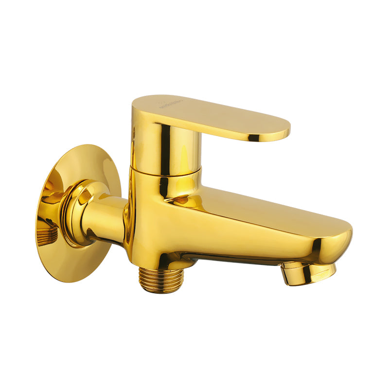 2 in 1 Bib Cock F/F with Flange