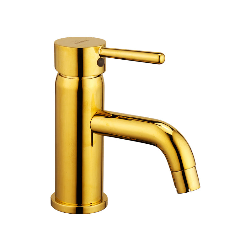 FLORANCE Single Lever Basin Mixer with 24" Hose F/F