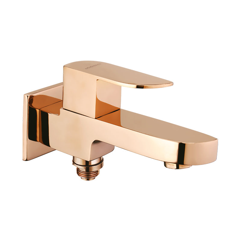 2 in 1 Bib Cock F/F with Flange