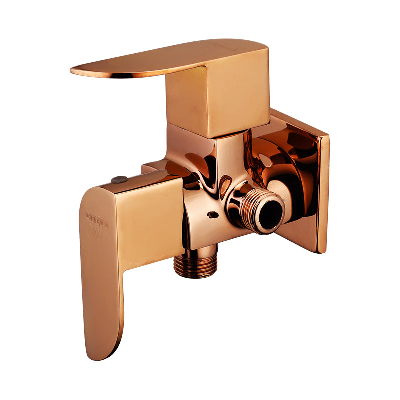2 in 1 Angle Cock with Flange