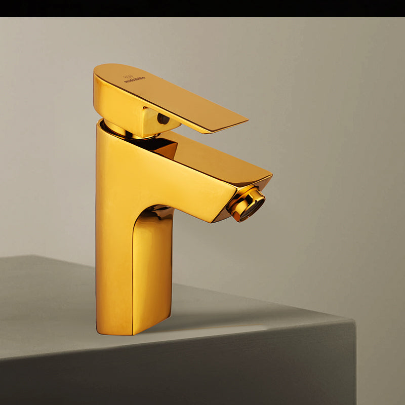 Single Lever Basin Mixer with 24" Hose F/F
