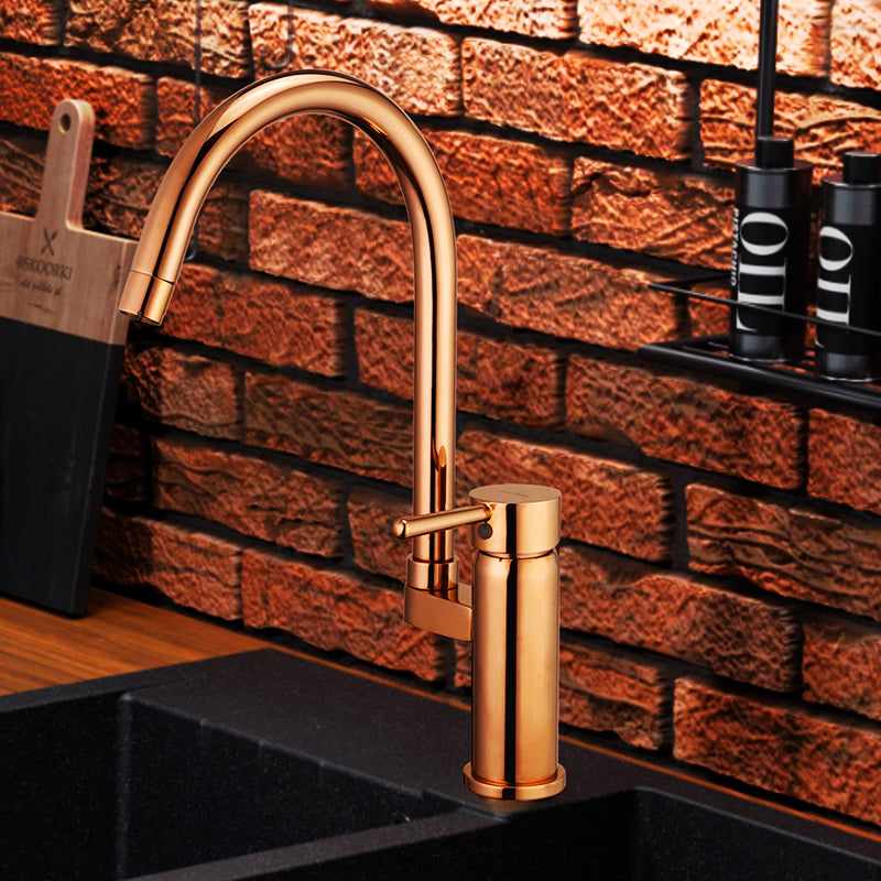 TANGO Sink Mixer Swivel Spout with 24" Hose F/F