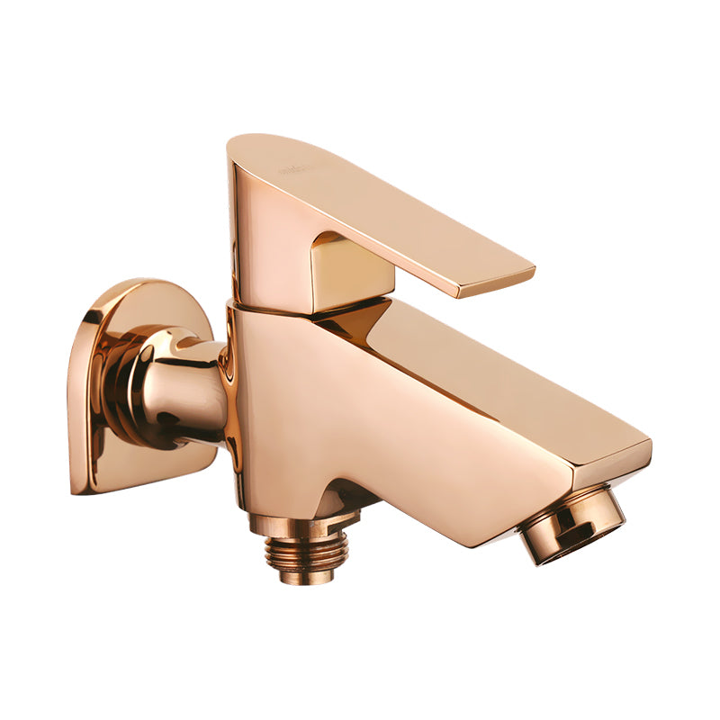 2 in 1 Bib Cock F/F with Flange